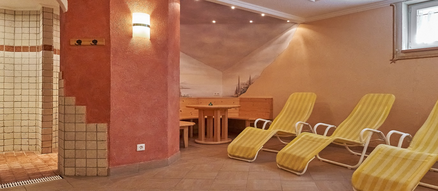Wellness area, sauna & sanitary facilities